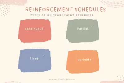 reinforcement schedules